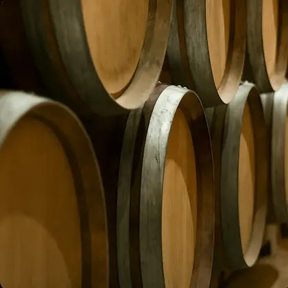 cellar