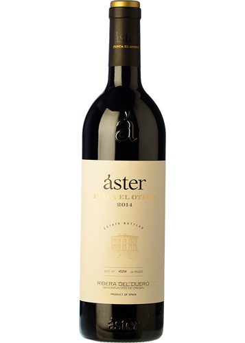 Áster Finca El Otero