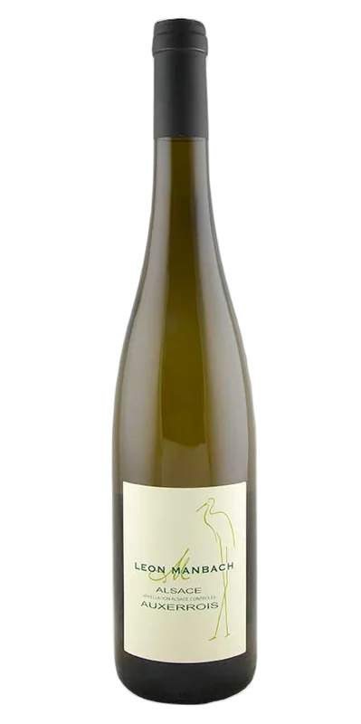 Auxerrois, Manbach