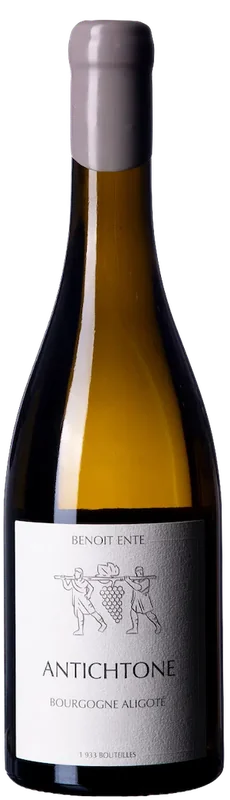 Benoit Ente Bourgogne Aligote 'Antichtone'