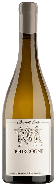 Benoit Ente Bourgogne Blanc