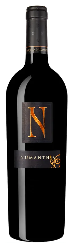Bodega Numanthia