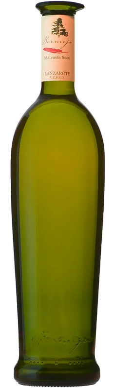 Bodegas Los Bermejos Malvasia Seco