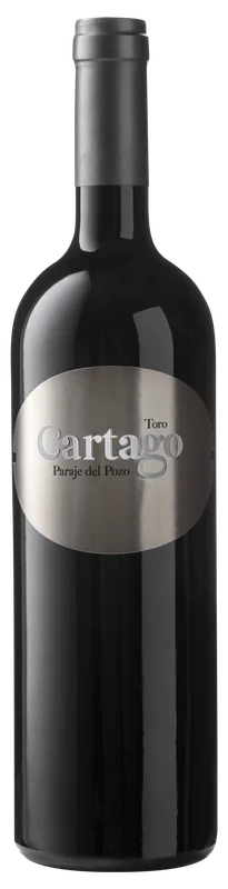 Bodegas San Roman 'Cartago' Paraje del Pozo
