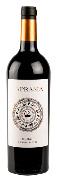 Bodegas Vegalfaro 'Caprasia' Crianza Anfora Bobal