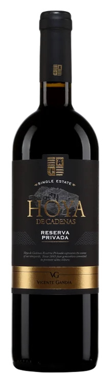 Bodegas Vicente Gandia Hoya de Cadenas Reserva