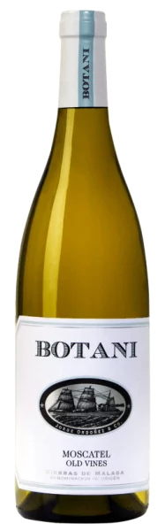Botani Moscatel