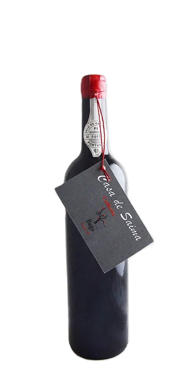 Casa de Saima, "Tonel 10" Bairrada