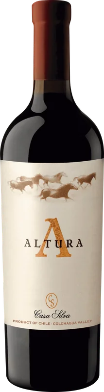 Casa Silva Altura