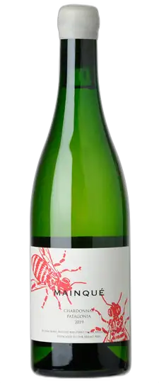 bottle