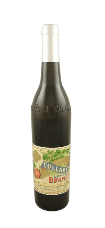 bottle