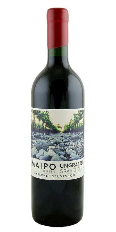 De Martino, Ungrafted Cabernet Sauvignon, Maipo