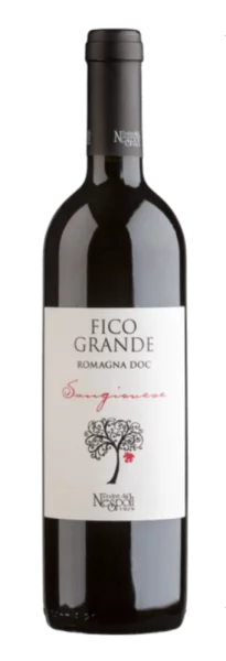 Poderi dal Nespoli Fico Grande Romagna Sangiovese