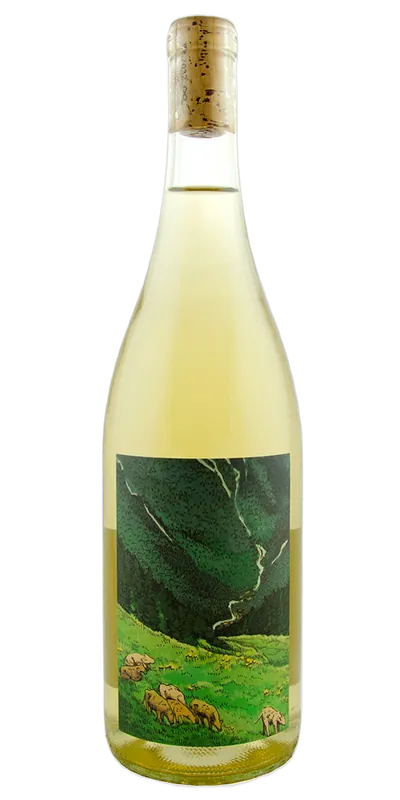 wine