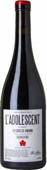 L'Adolescent