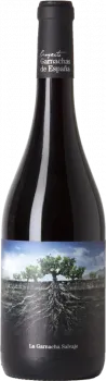 La Garnacha Salvaje del Moncayo