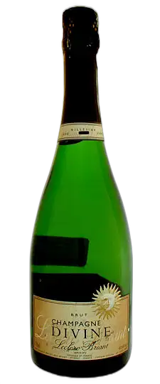 bottle