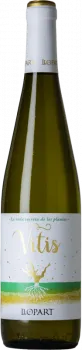 bottle