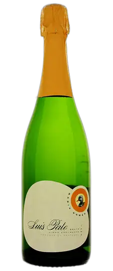 bottle