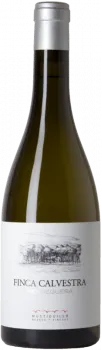 Mustiguillo Finca Calvestra