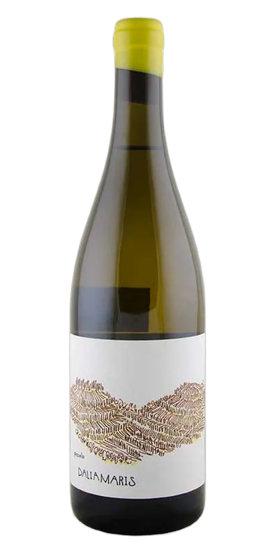 Piccolo Bianco, Dalia Maris