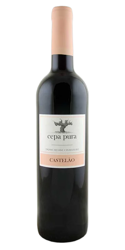 wine