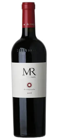 Raats MR de Compostella Mvemve